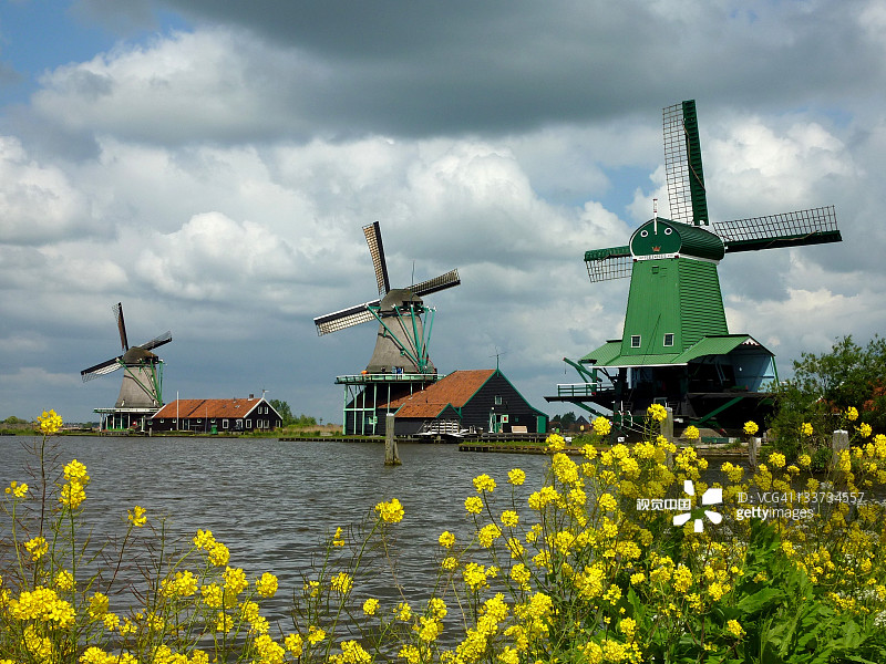 荷兰图片.jpg